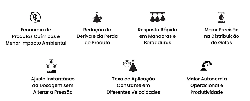 section 2