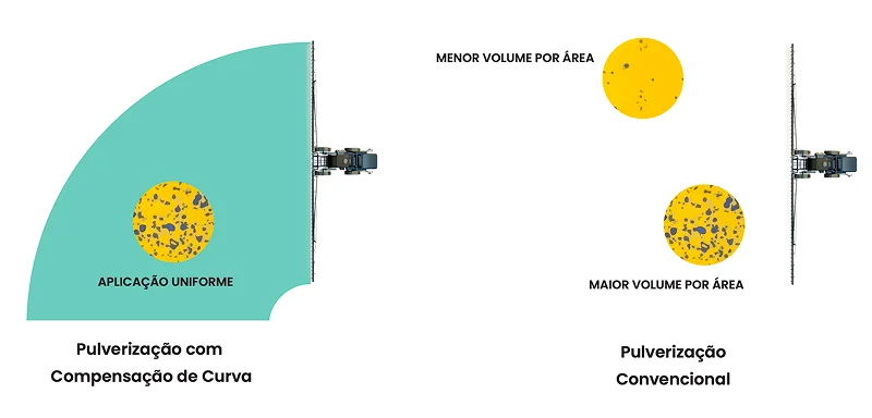 section 6